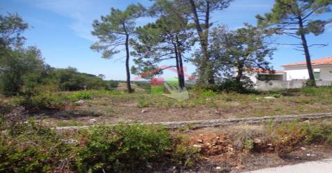 Terreno Rústico T0 Venda em Chancelaria,Torres Novas