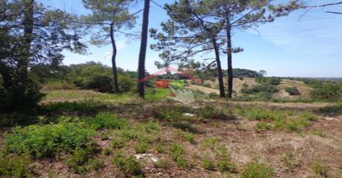 Terreno Rústico T0 Venda em Chancelaria,Torres Novas