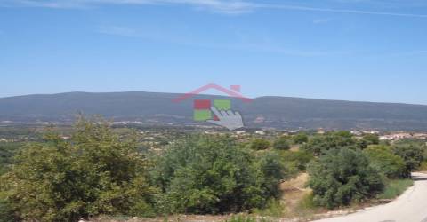 Terreno Rústico T0 Venda em Chancelaria,Torres Novas