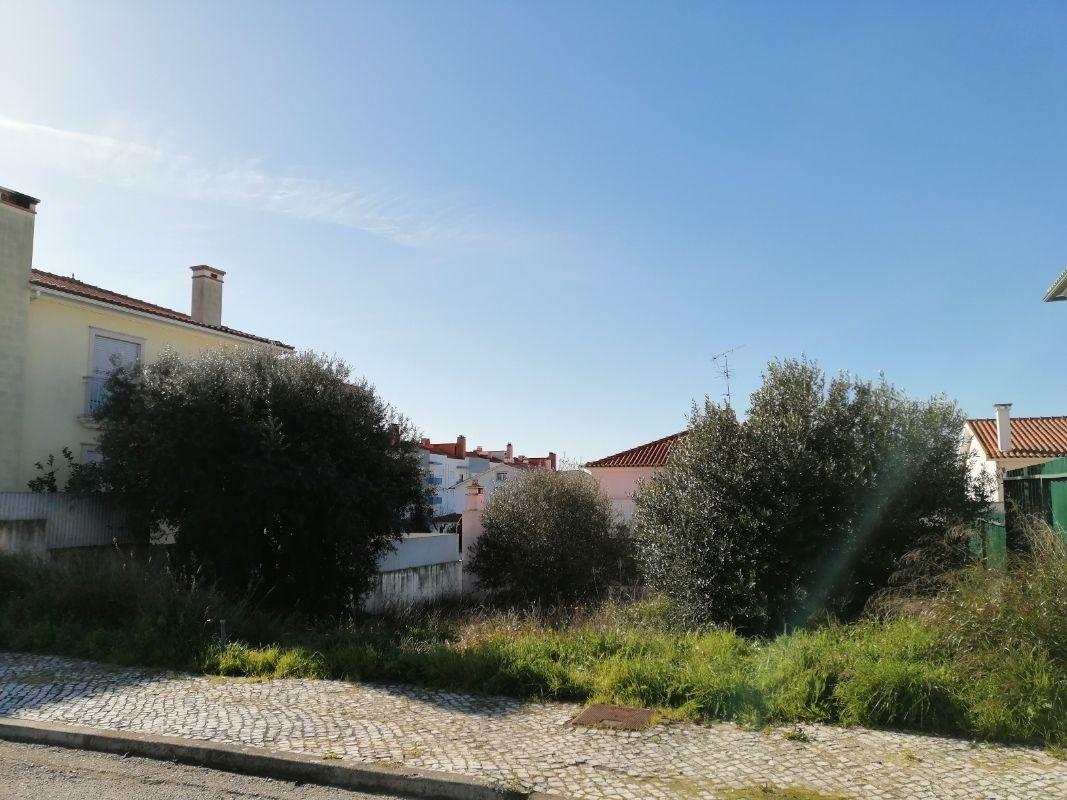 Terreno  Venda em Torres Novas (São Pedro), Lapas e Ribeira Branca,Torres Novas