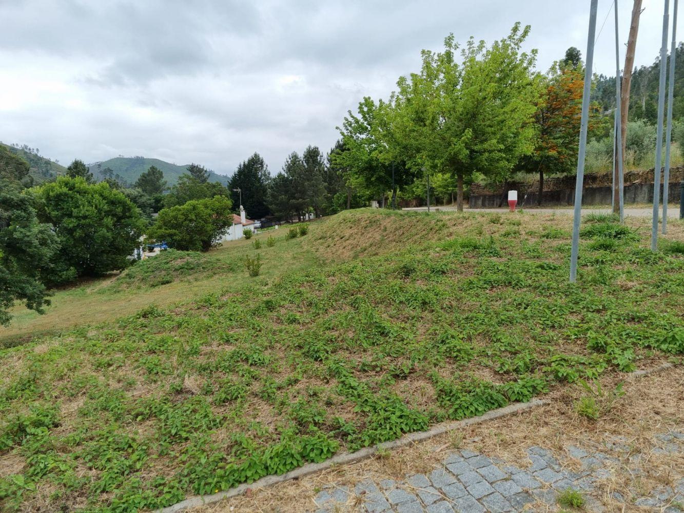 Terreno T3 Venda em Águas Belas,Ferreira do Zêzere