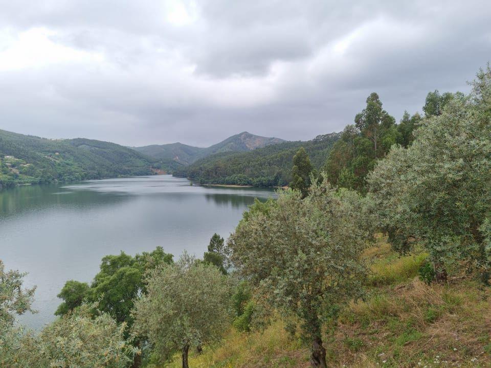 Terreno T3 Venda em Águas Belas,Ferreira do Zêzere