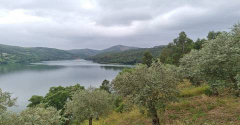 Terreno T3 Venda em Águas Belas,Ferreira do Zêzere