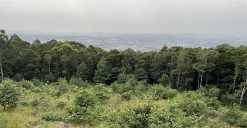 Terreno com 890m2, para Moradia isolada