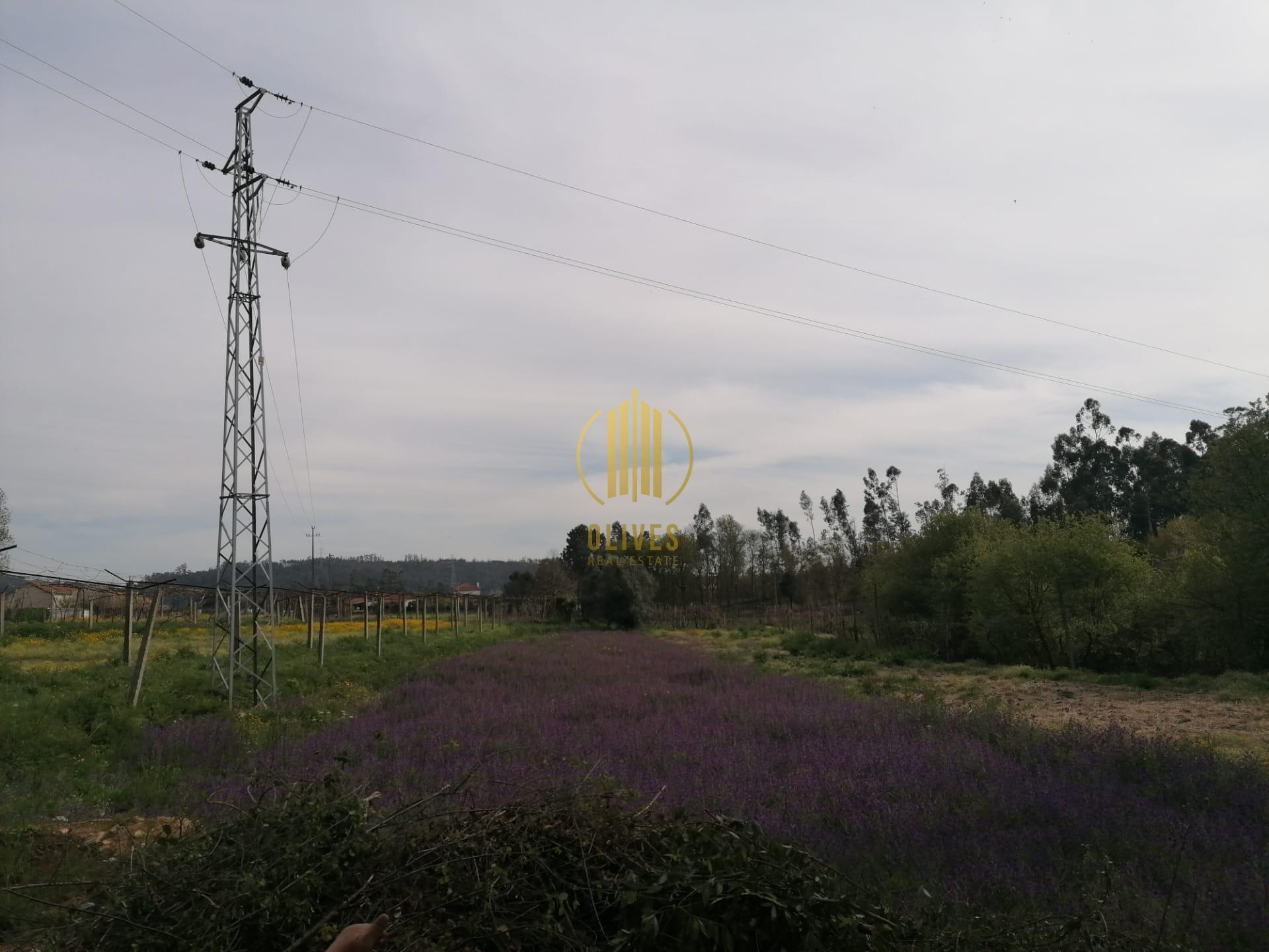 Terreno  Venda em Anais,Ponte de Lima