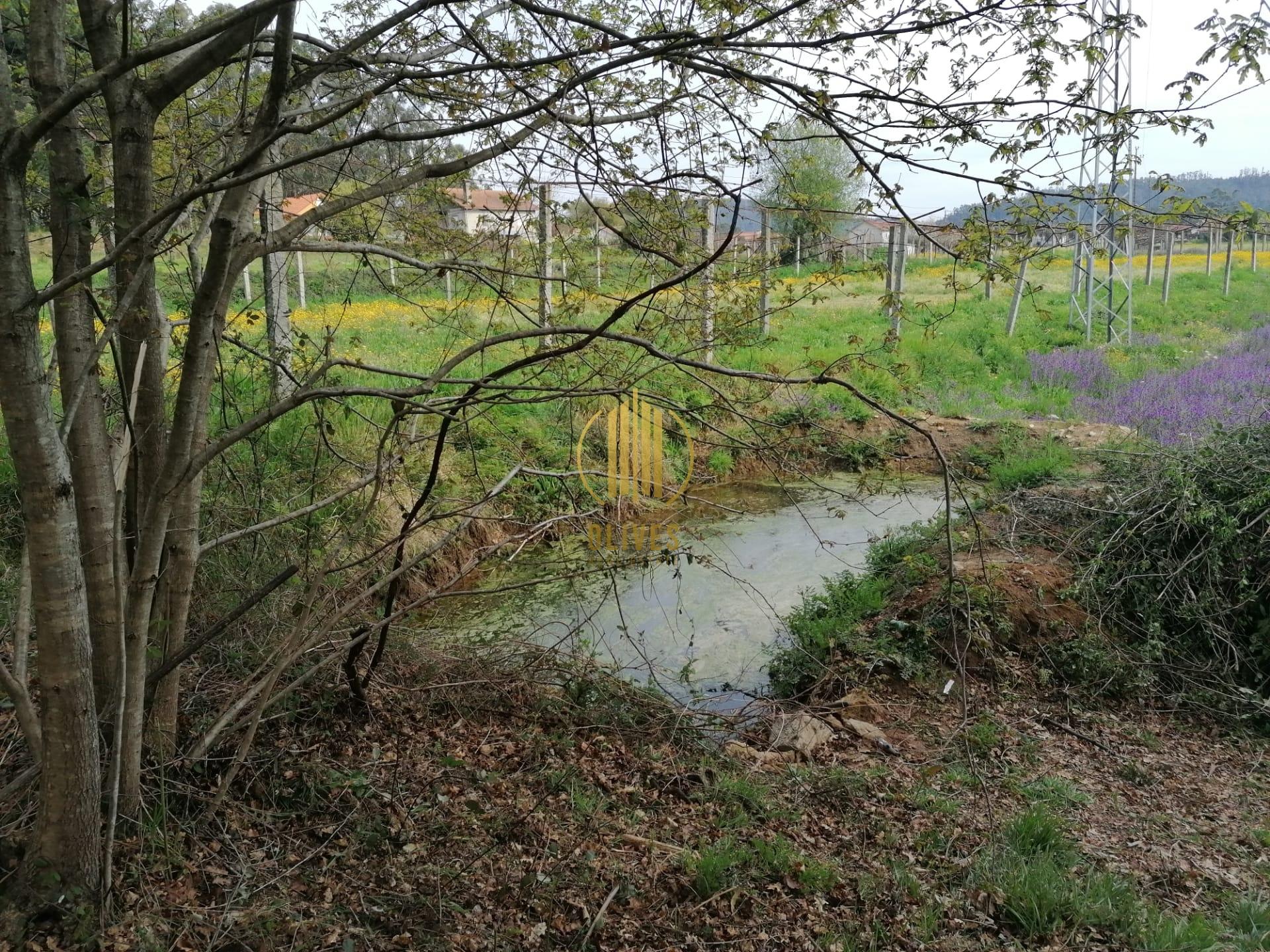 Terreno  Venda em Anais,Ponte de Lima