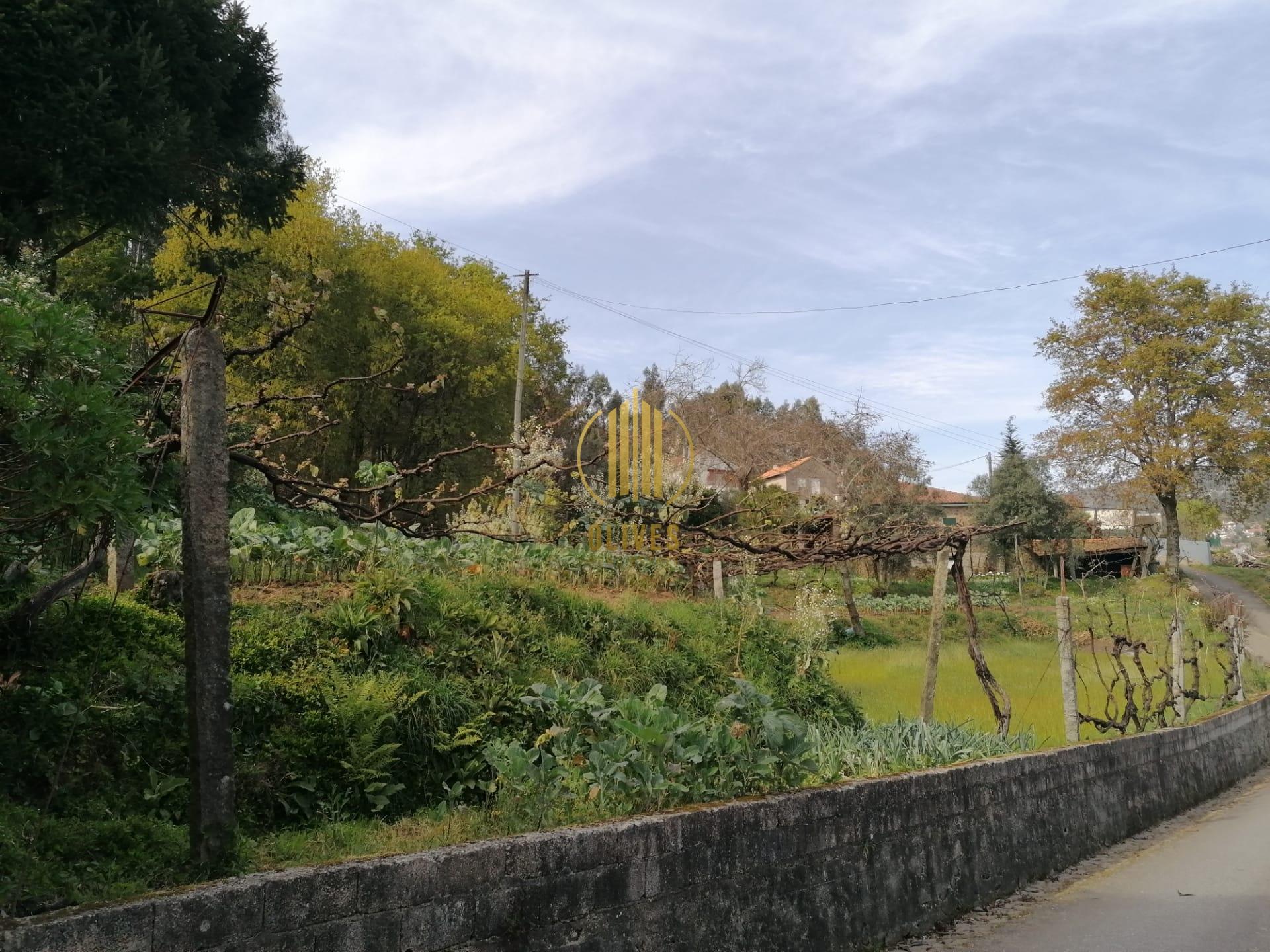 Terreno  Venda em Anais,Ponte de Lima