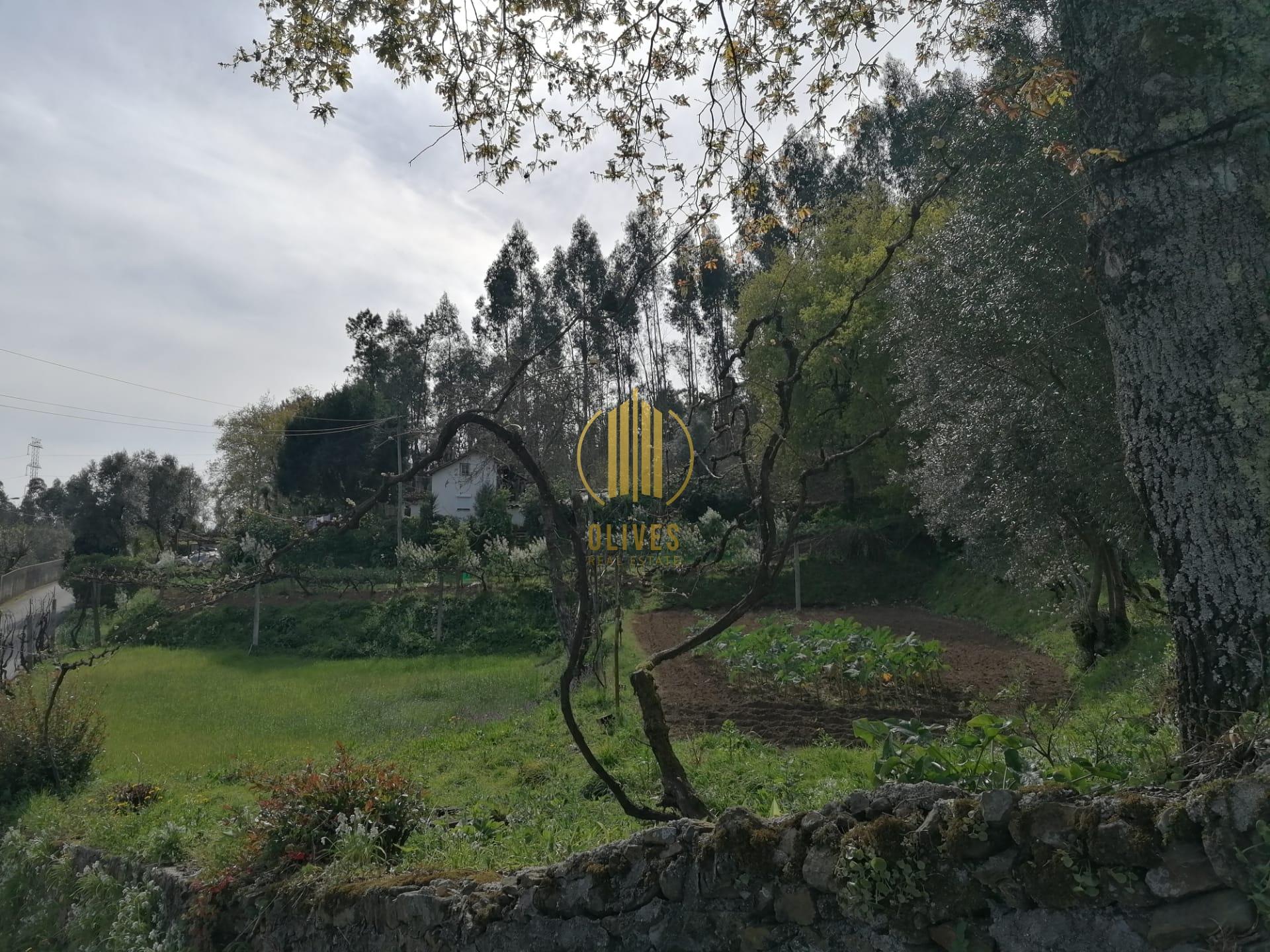 Terreno  Venda em Anais,Ponte de Lima