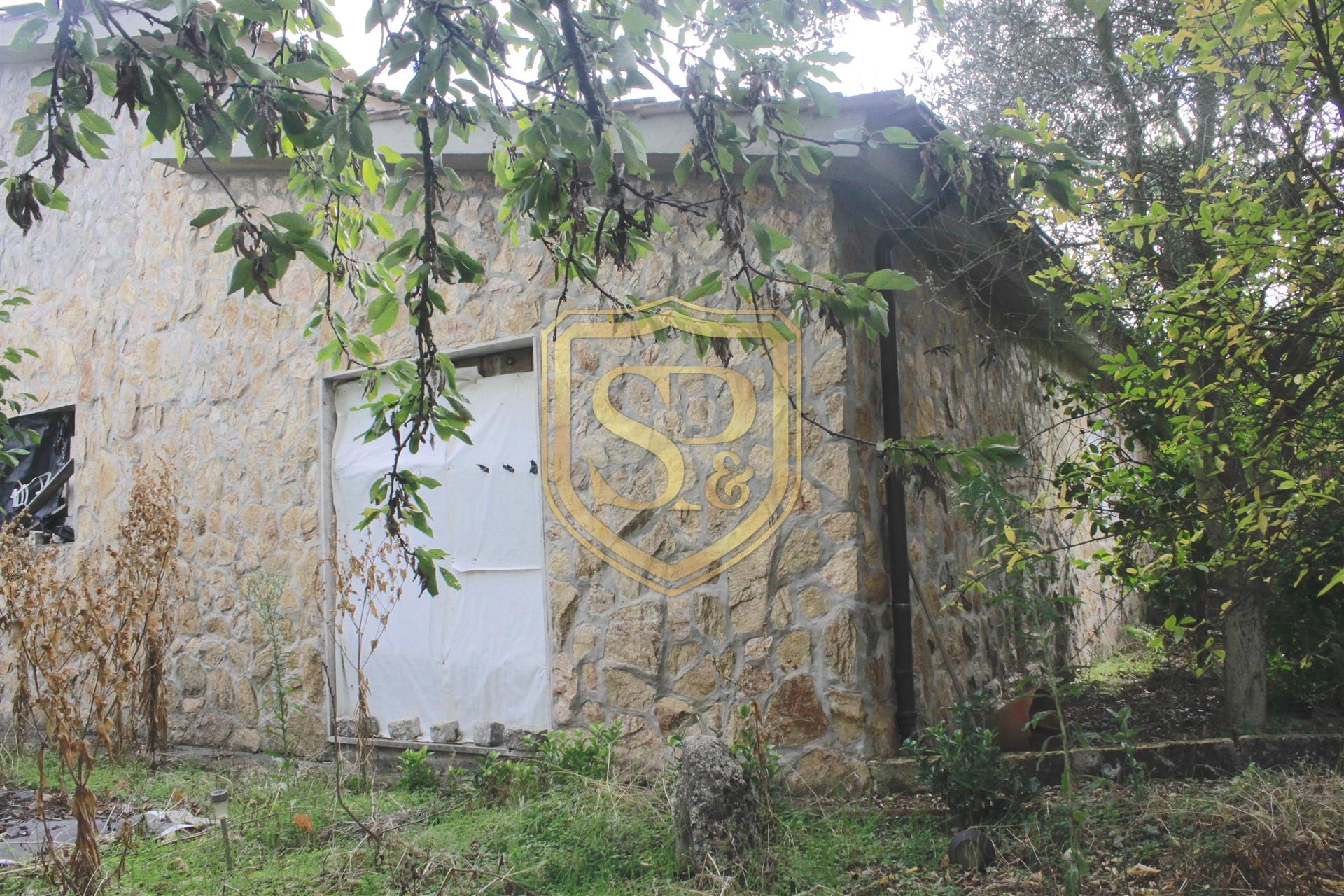 Terreno Rústico  Venda em Eiras, São Julião de Montenegro e Cela,Chaves