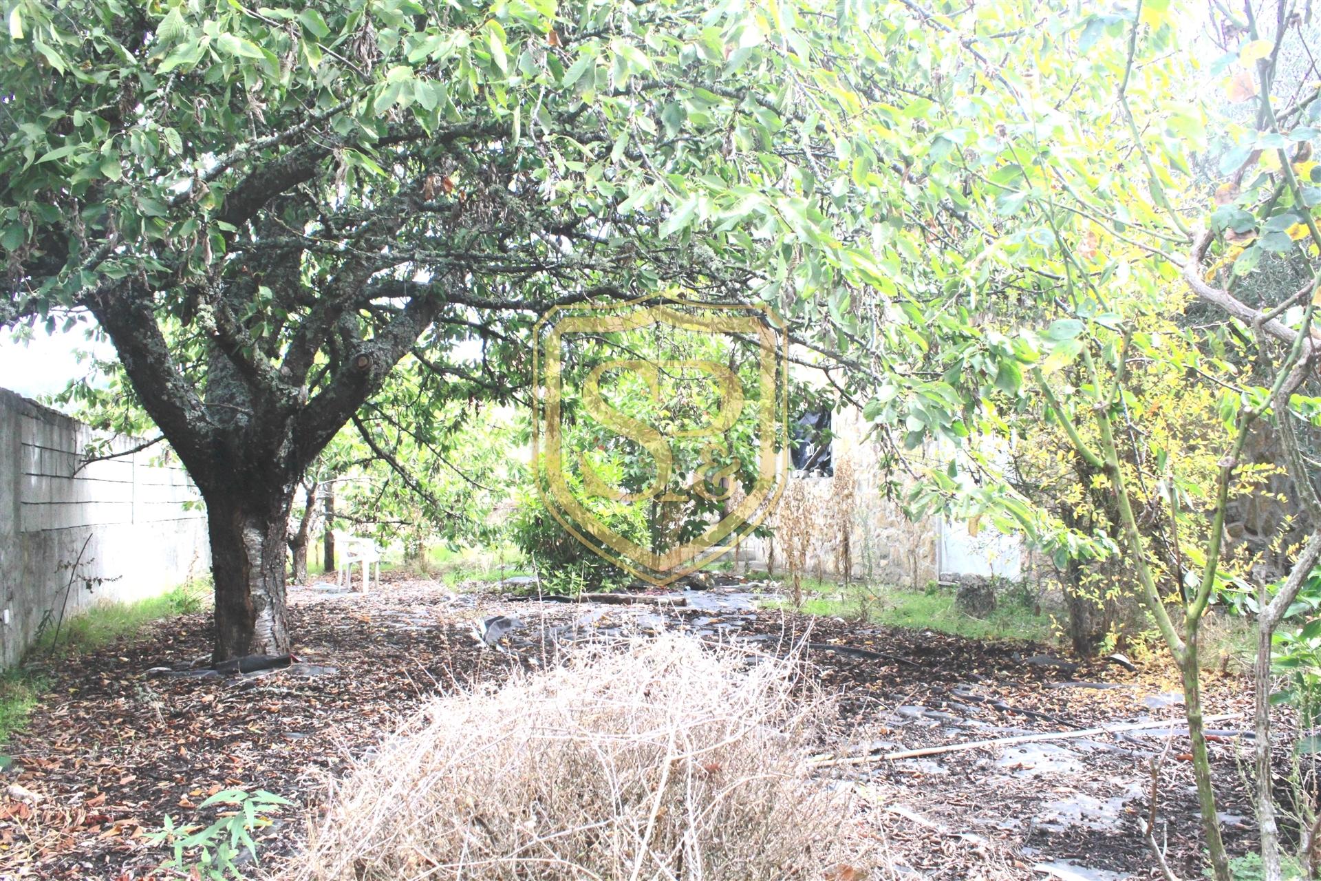 Terreno Rústico  Venda em Eiras, São Julião de Montenegro e Cela,Chaves