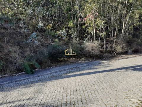 Terreno em Tamel - Santa Leocádia