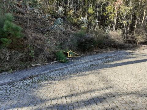 Terreno em Tamel - Santa Leocádia