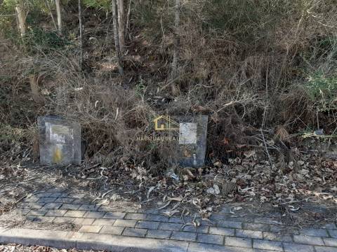 Terreno em Tamel - Santa Leocádia