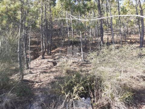 Terreno em Tamel Santa Leocádia