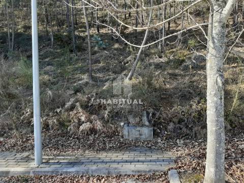 Terreno em Tamel Santa Leocádia