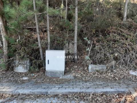 Terreno em Tamel Santa Leocádia