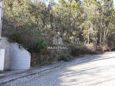 Terreno em Tamel Santa Leocádia