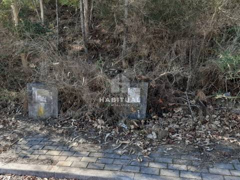 Terreno em Tamel -Santa Leocádia - LOTE 8