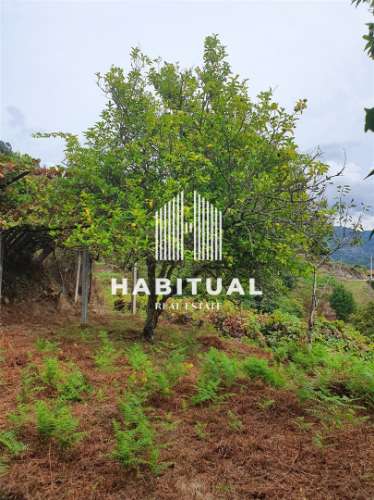 Quintinha T2+1 em Arcos de Valdevez