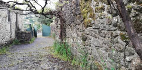 Moradia Isolada T3 em Deocriste