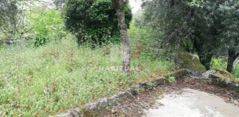 Moradia Isolada T3 em Deocriste