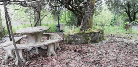 Moradia Isolada T3 em Deocriste