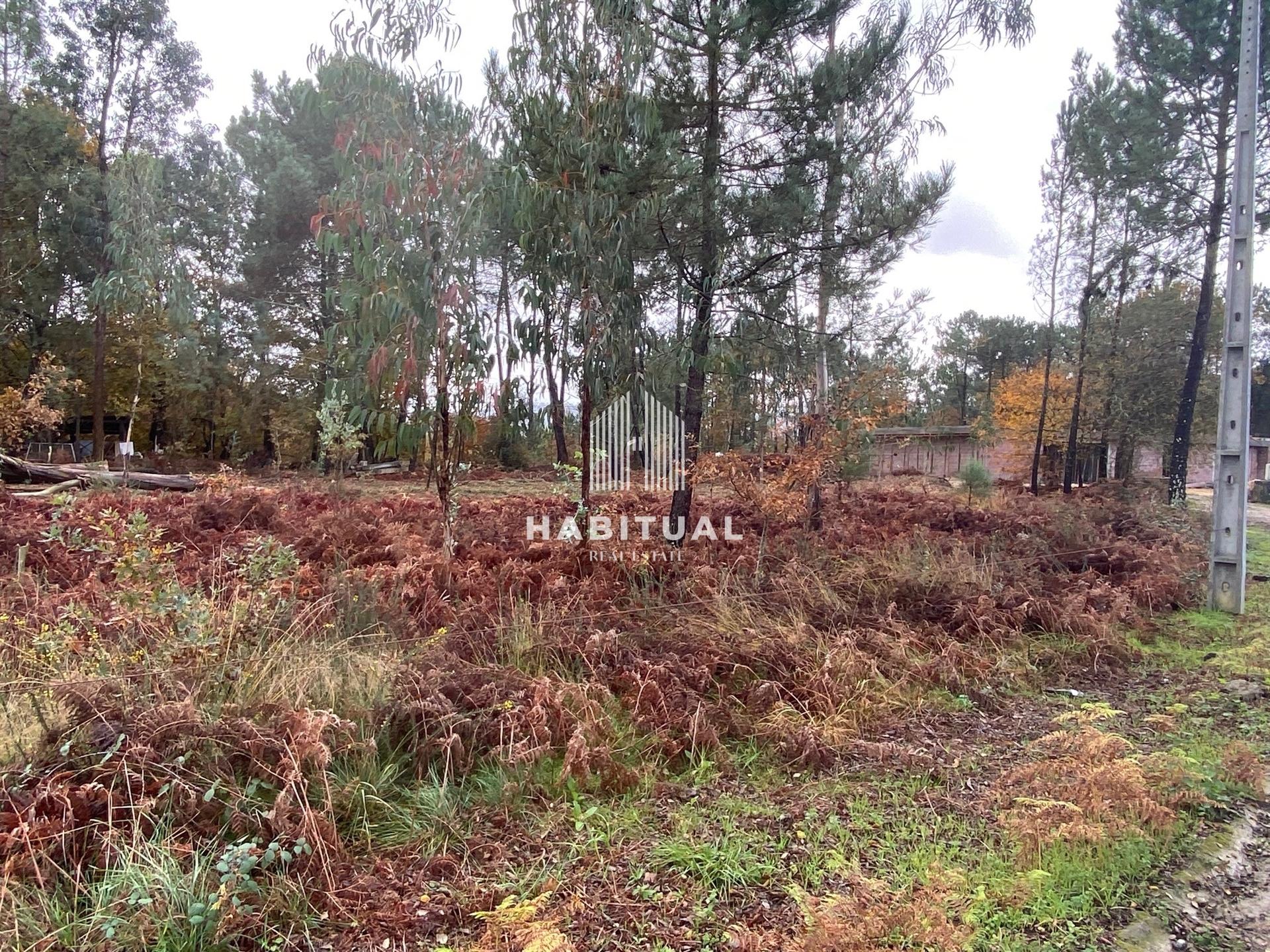 Terreno para Construçao em Valença