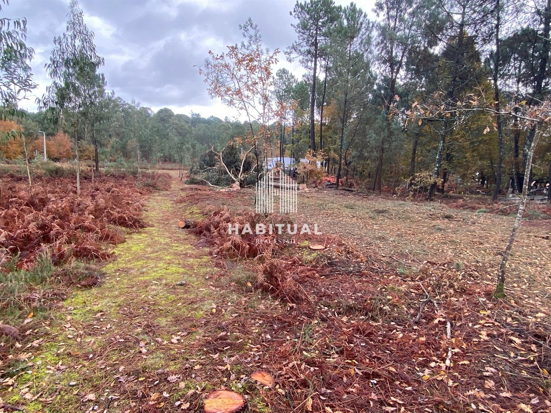 Terreno para Construçao em Valença