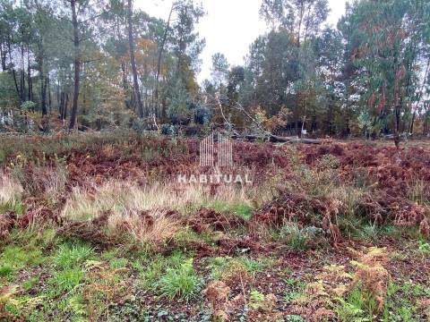 Terreno para Construçao em Valença