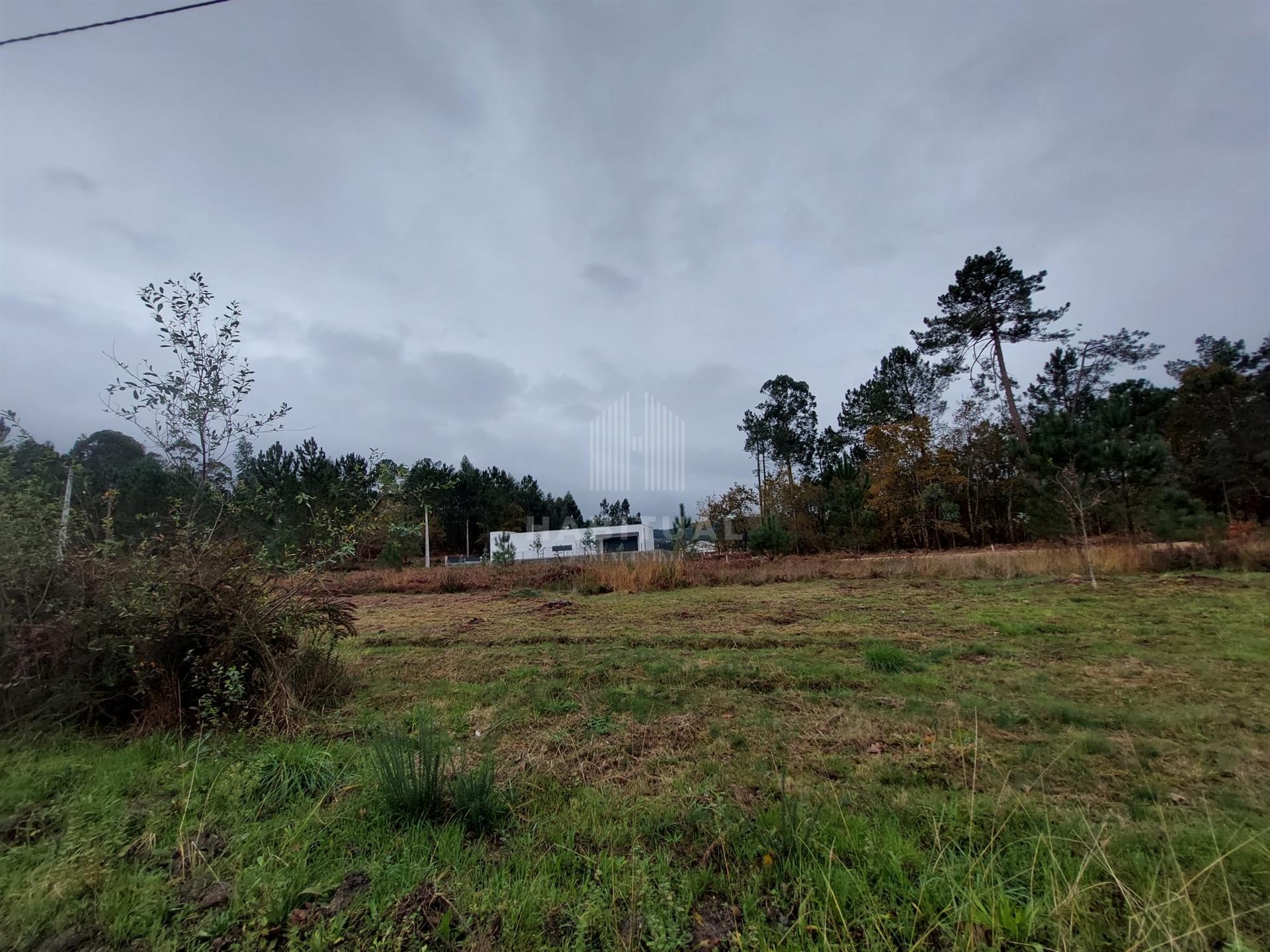 Terreno para Construçao em Valença