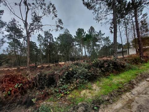 Terreno para Construçao em Valença
