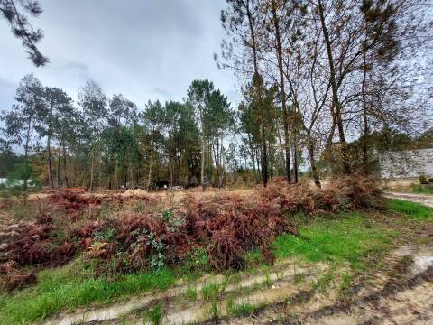 Terreno para Construçao em Valença