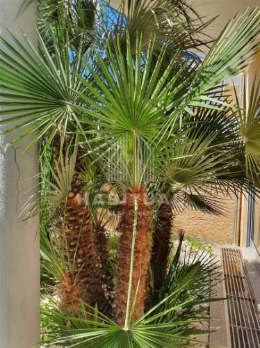 Moradia T4 no Cabedelo