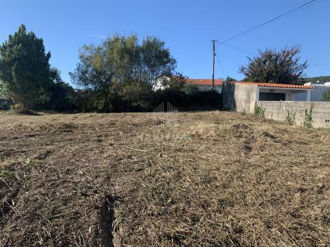 Venda conjunta de 4 Lotes em Afife