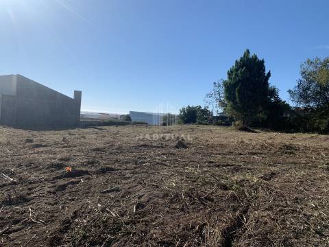 Venda conjunta de 4 Lotes em Afife