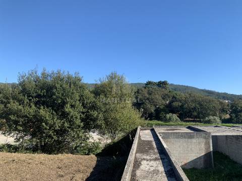 Venda conjunta de 4 Lotes em Afife