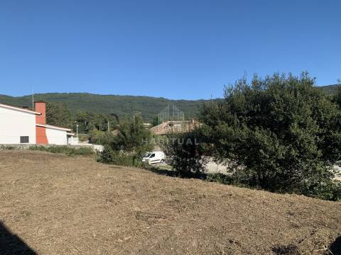 Venda conjunta de 4 Lotes em Afife