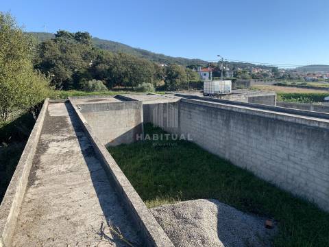 Venda conjunta de 4 Lotes em Afife