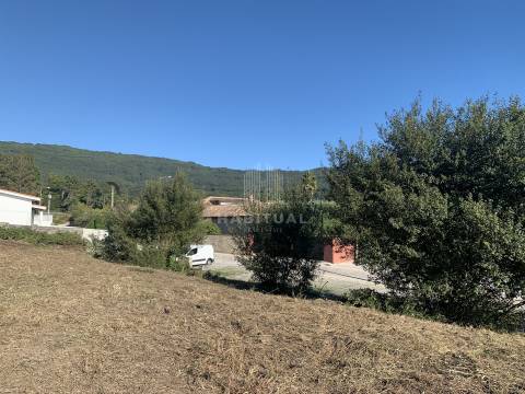 Venda conjunta de 4 Lotes em Afife