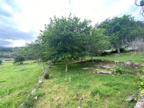 Terreno com 2400 m2 em Âncora