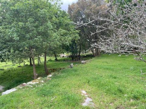 Terreno com 2400 m2 em Âncora