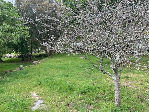 Terreno com 2400 m2 em Âncora