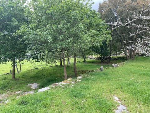 Terreno com 2400 m2 em Âncora