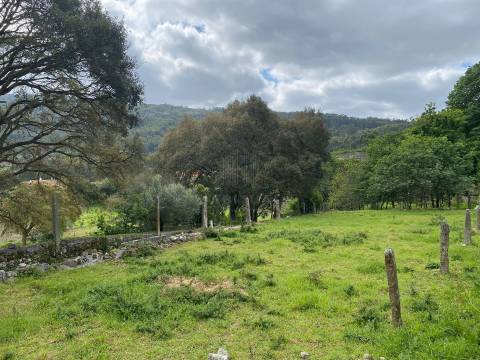 Terreno com 2400 m2 em Âncora