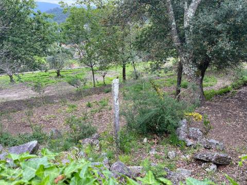 Terreno com 47982 m2 com Capela do Sec XIII  em Âncora