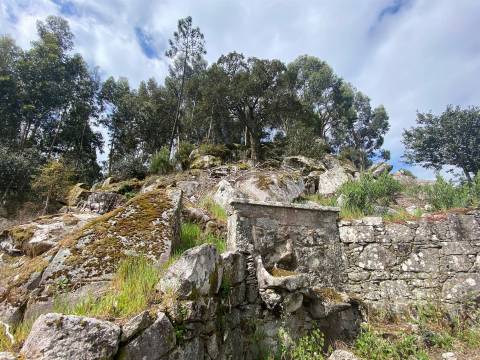 Terreno com 47982 m2 com Capela do Sec XIII  em Âncora