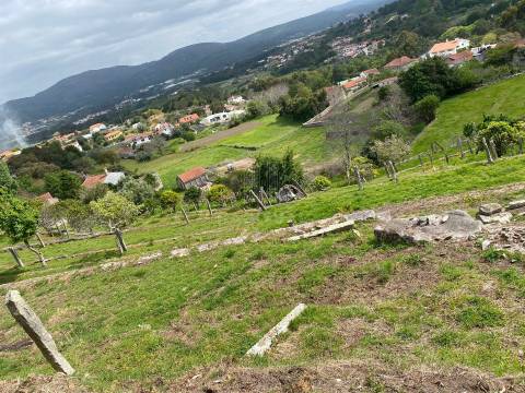 Terreno com 47982 m2 com Capela do Sec XIII  em Âncora