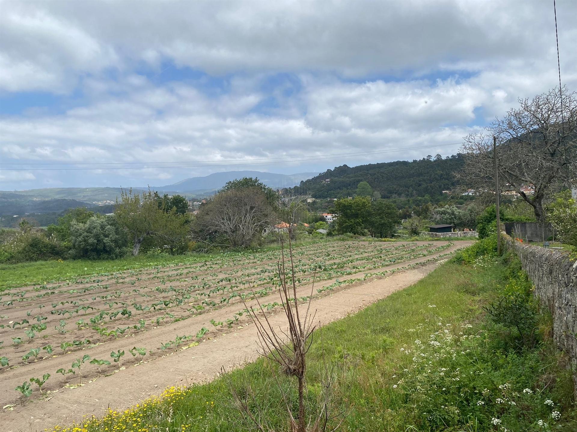 Terreno em Âncora  com viabilidade de construção  com 5315 m2