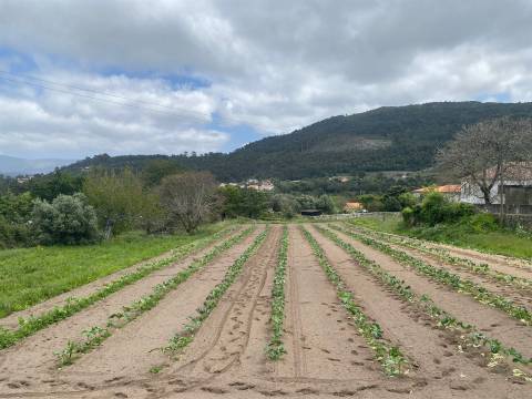 Terreno em Âncora  com viabilidade de construção  com 5315 m2