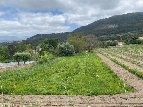 Terreno em Âncora  com viabilidade de construção  com 5315 m2